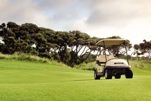 Revving Up Your Golf Game: Unleash the Power of a High-Performance Golf Cart Battery and Charger